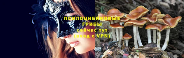 мет Заволжск