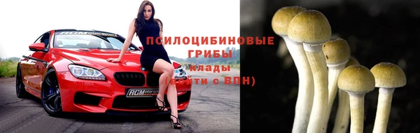 гидропоника Заводоуковск