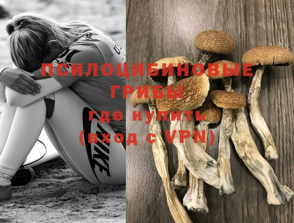 гидропоника Заводоуковск
