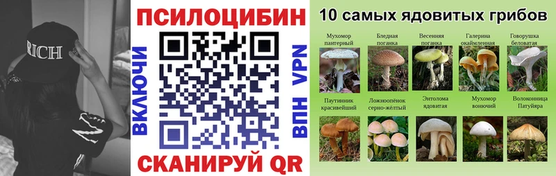 Галлюциногенные грибы мухоморы Купить закладки Кодинск