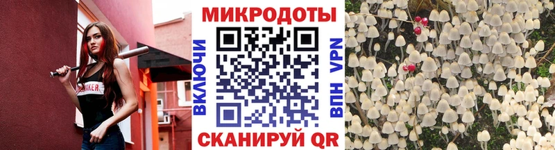 Галлюциногенные грибы Psilocybe Кодинск
