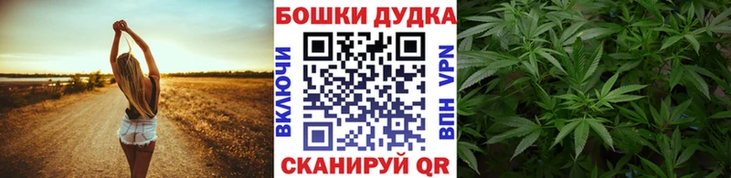 Купить закладки Кодинск Бошки марихуана семена